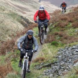 Cycling on the Brechfa Forest Trails on holiday or short-break