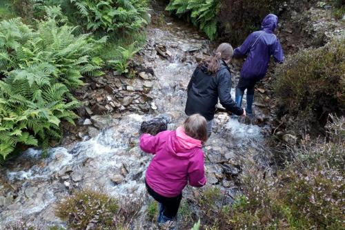 Exploring a stream on Llanllwni mountain